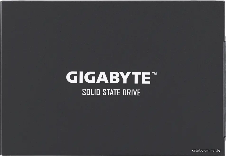 Купить Накопитель SSD Gigabyte UD Pro 256GB GP-GSTFS30256GTTD, цена, опт и розница