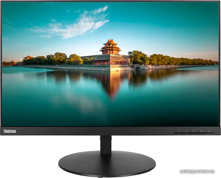 Купить Монитор Lenovo ThinkVision P24q-10, цена, опт и розница