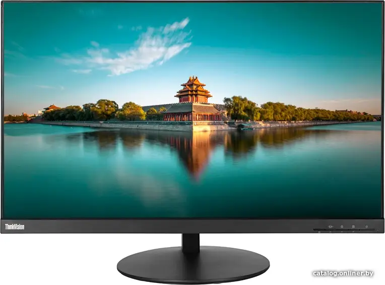 Монитор Lenovo ThinkVision P27q-10 61A8GAT1EU