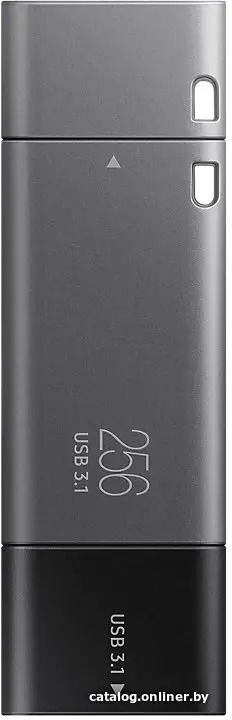 Купить USB Flash Samsung DUO Plus 256GB (серый), цена, опт и розница