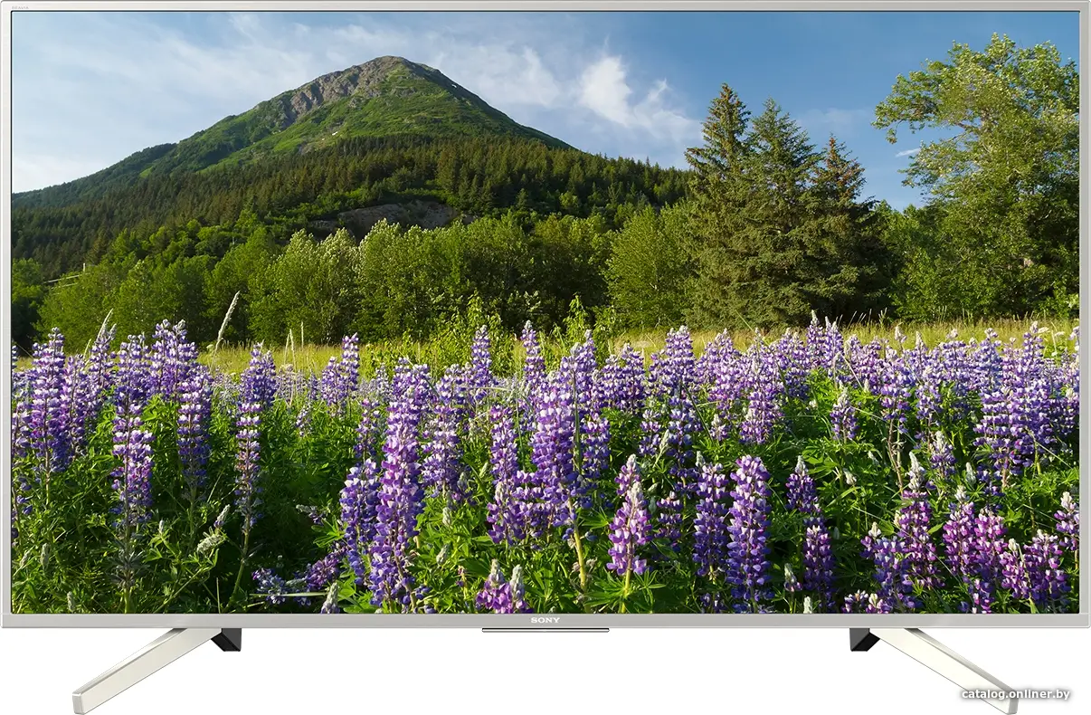 Купить Телевизор Sony KD-49XF7077, цена, опт и розница