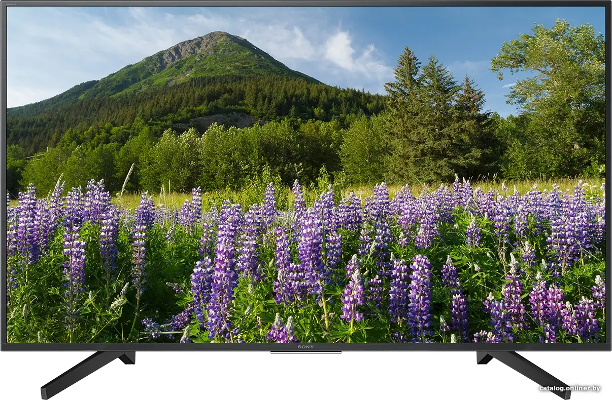 Купить Телевизор Sony KD-49XF7096, цена, опт и розница