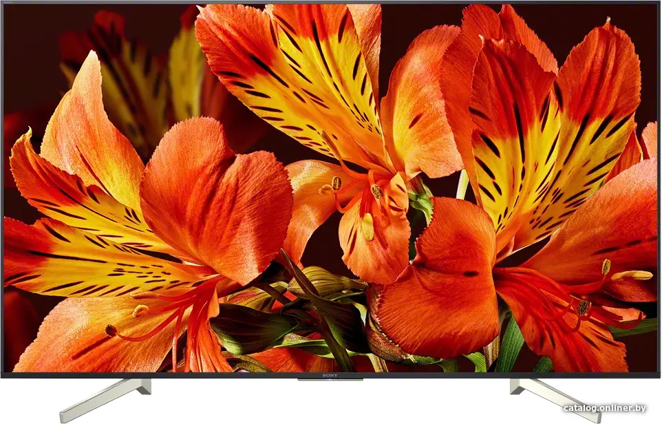 Купить Телевизор Sony KD-49XF8596, цена, опт и розница