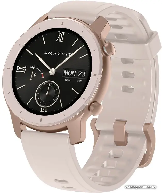 Купить Умные часы Amazfit GTR 42мм (вишневый порошок), цена, опт и розница