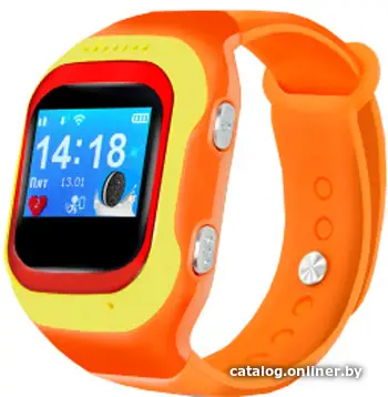 Купить Умные часы Ginzzu GZ-501 (оранжевый), цена, опт и розница