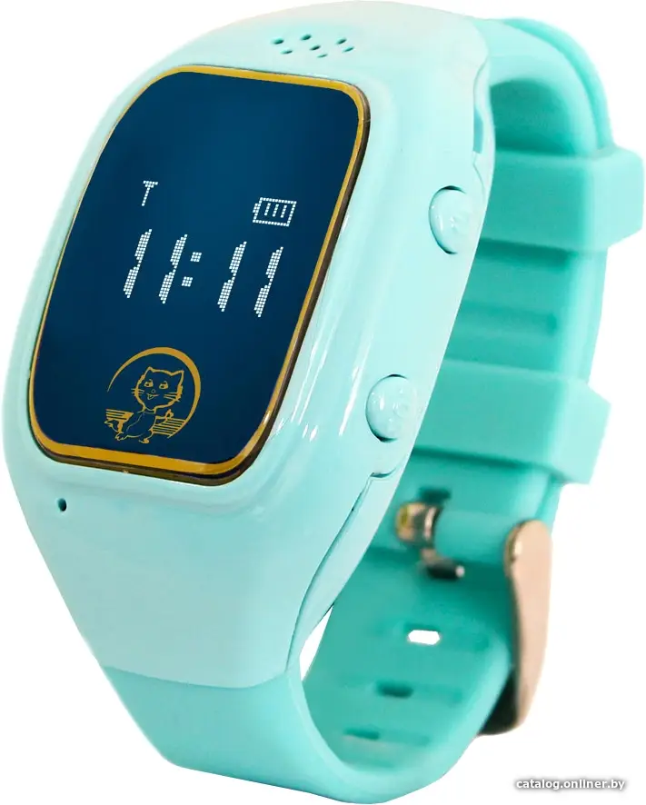 Купить Умные часы Ginzzu GZ-511 (голубой), цена, опт и розница
