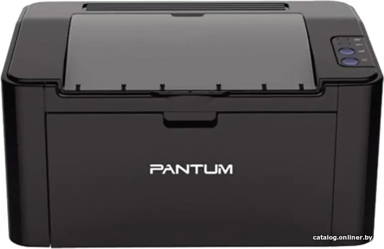 Принтер Pantum P2507