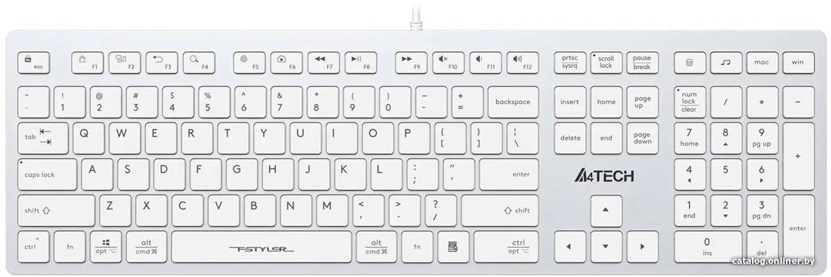 Клавиатура A4Tech Fstyler FX50 (белый) (id1020921)