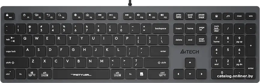 Клавиатура A4Tech Fstyler FX50 (серый) (id1020941)