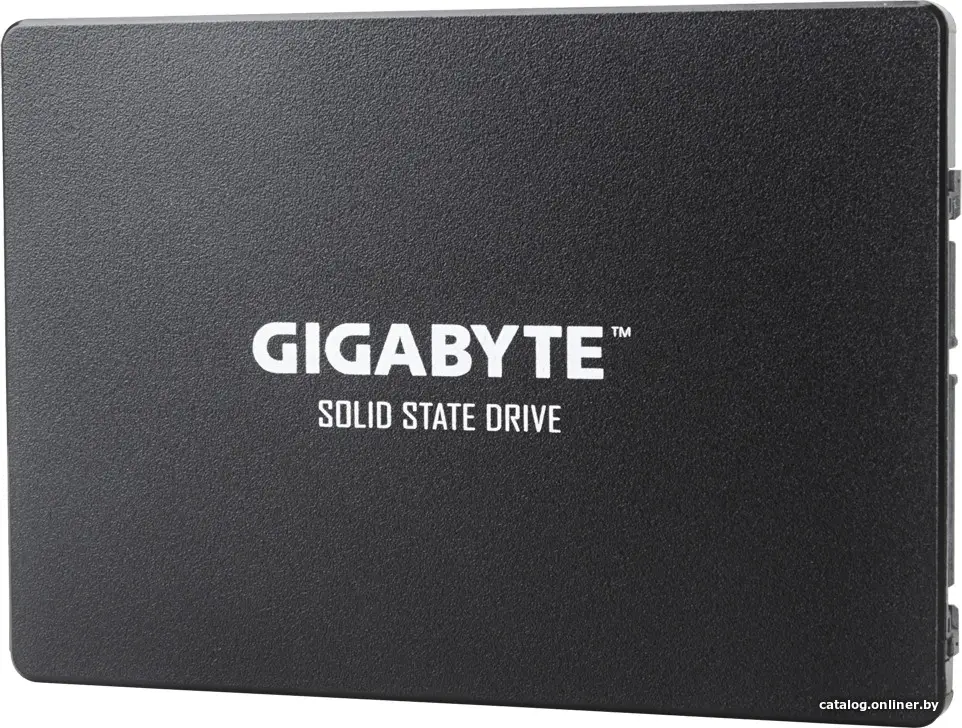 Купить SSD Gigabyte 256GB GP-GSTFS31256GTND, цена, опт и розница